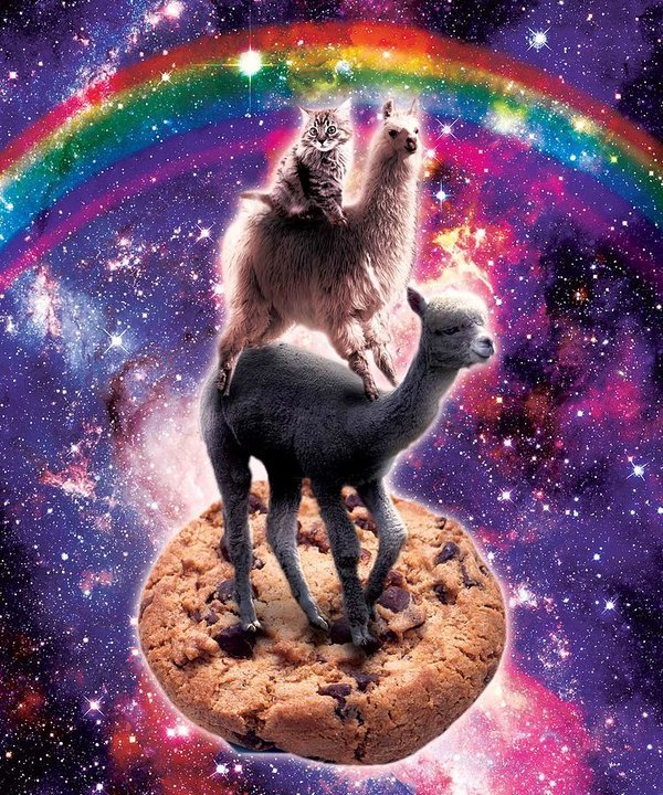 space-cat-llama-alpaca-riding-cookie-random-galaxy.jpg.8d068e198858d3f7465a2f690aca73d6.jpg