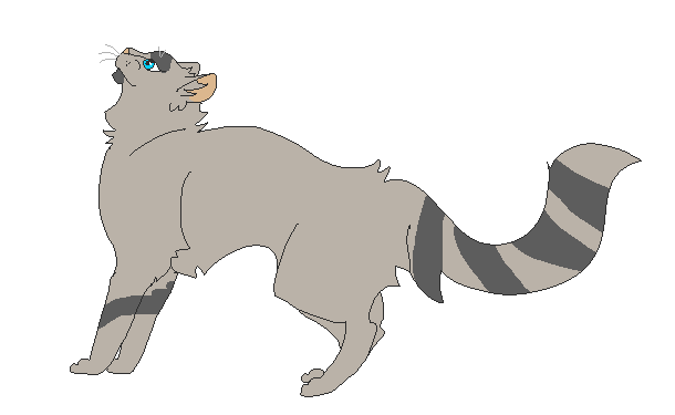 Racoonkit.png.6e9fe8422939fac5d6255f27bbea1f4a.png