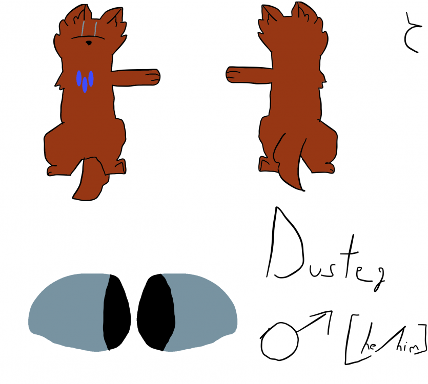 Duster.thumb.png.9600086e8a73df3840ab74ef03e67a47.png