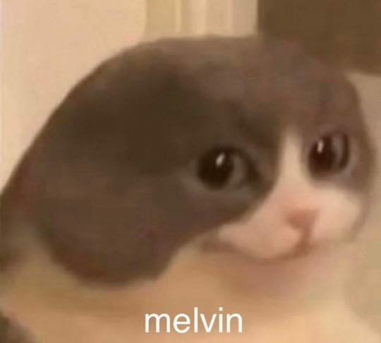melvin.png