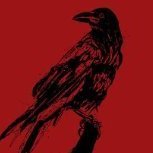The_Stormborn_Crow